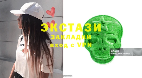 стаф Алзамай