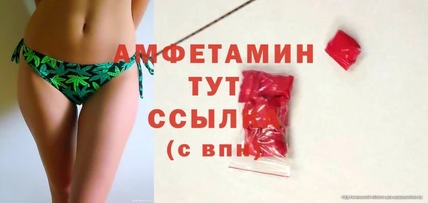 стаф Алзамай
