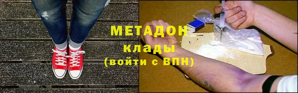 стаф Алзамай