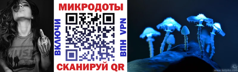 нарко площадка телеграм  Пугачёв  Псилоцибиновые грибы прущие грибы 